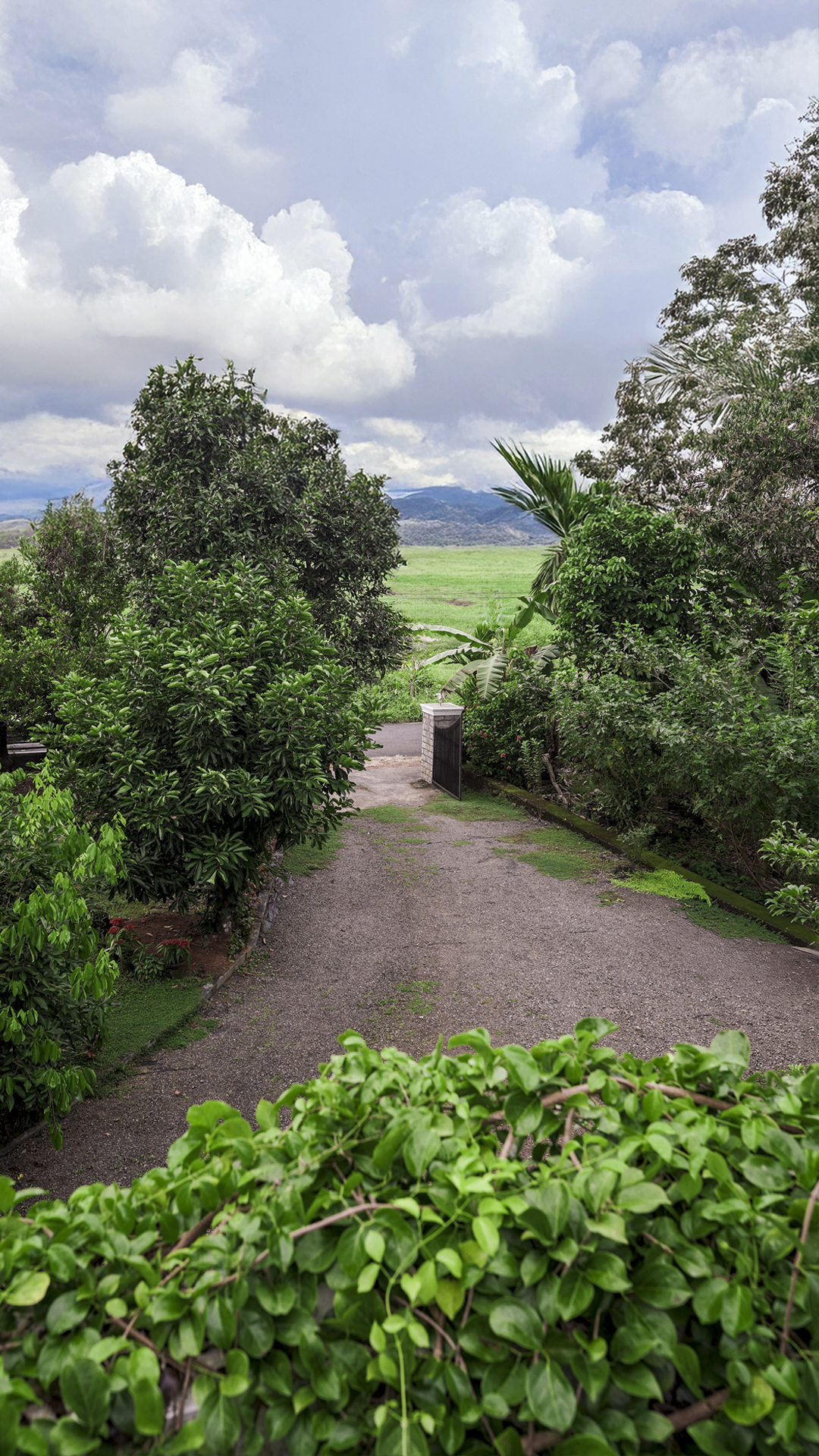 Tales of Mala - Gallery image 12